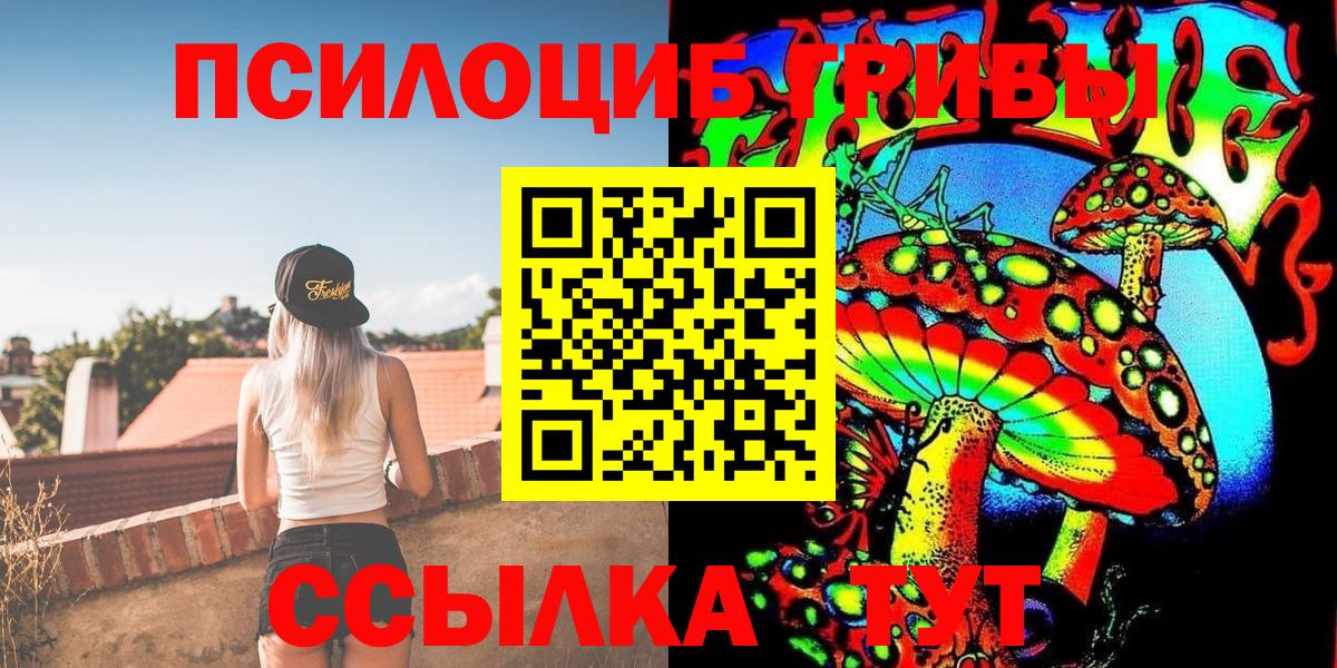 Галлюциногенные грибы Cubensis Городец