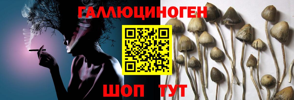 Псилоцибиновые грибы Magic Shrooms  Галлюциногенные грибы прущие грибы  Вход с VPN  Городец 